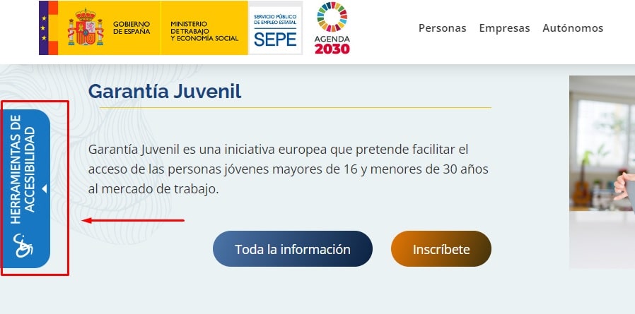 captura de pantalla de la web del sepe que muestra la pestaña de activación de accesibilidad de la plataforma de accesibilidad insuit tools